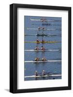 Double Scull Race, Maadi Cup Regatta, Lake Karipiro, Waikato, North Island, New Zealand-David Wall-Framed Photographic Print