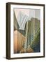 Double Take VIII-Greg Perkins-Framed Art Print