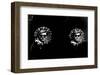 Double Tambourine, circa 1966-Andy Warhol/ Nat Finkelstein-Framed Art Print