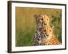 Double Team-Jaco Marx-Framed Photographic Print