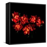 Double Trouble Tulips-Magda Indigo-Framed Stretched Canvas