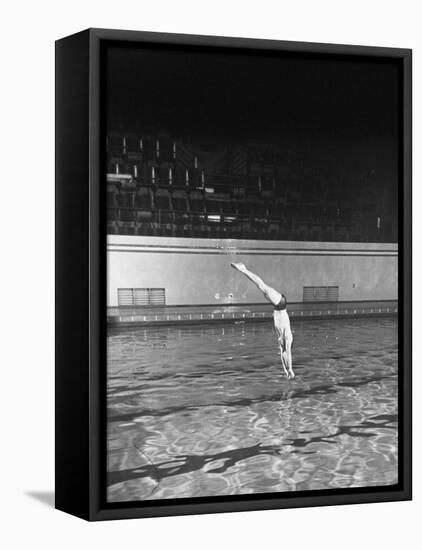 Double Twister Dive by Ohio State University Diver Miller Anderson, NCAA Swimmer of the Year-Gjon Mili-Framed Stretched Canvas