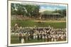 Doubleday Field, Cooperstown, New York-null-Mounted Art Print