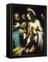 Doubting Thomas-Bernardo Strozzi-Framed Stretched Canvas