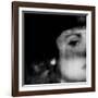 Doubts-Gideon Ansell-Framed Photographic Print