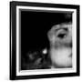 Doubts-Gideon Ansell-Framed Photographic Print