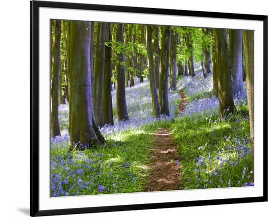 Framed Photographic Print, , large