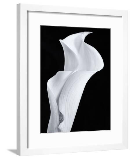 Framed Photographic Print, , large