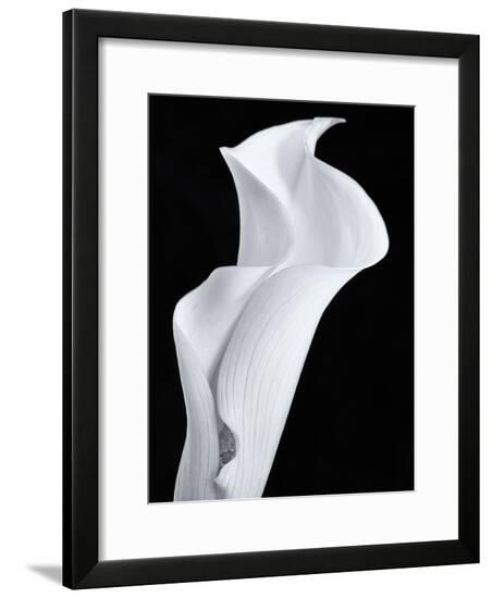 Framed Photographic Print, , large