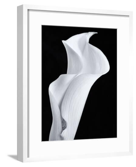 Framed Photographic Print, , large