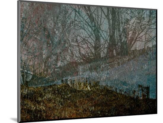 Photographic Print, , large