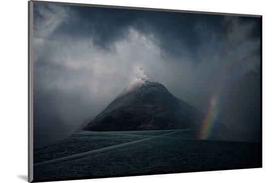 Photographic Print, , large