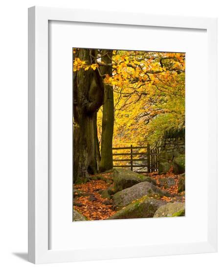 Framed Photographic Print, , large