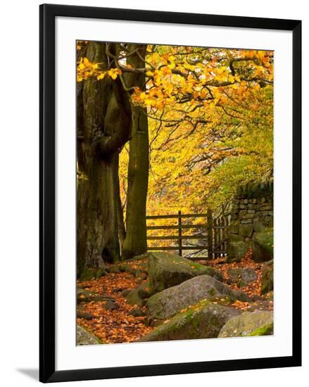 Framed Photographic Print, , large