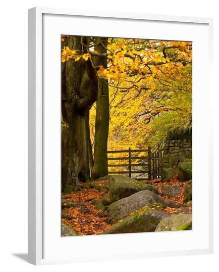 Framed Photographic Print, , large