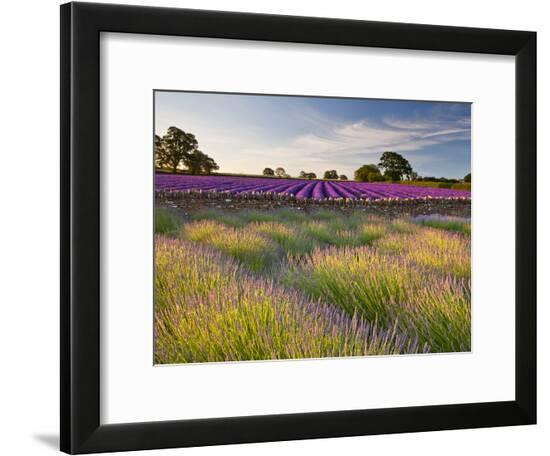 Framed Photographic Print, , large