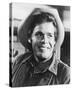 Doug McClure - The Virginian-null-Stretched Canvas