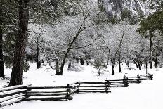 Tioga Pass-Doug Meek-Photographic Print