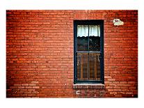 River Walk Window-Doug Nelson-Art Print