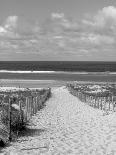 Bathing Huts, Port Phillip Bay, Melbourne, Victoria, Australia-Doug Pearson-Photographic Print