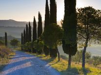 Country Road Towards Pienza, Val D' Orcia, Tuscany, Italy-Doug Pearson-Photographic Print