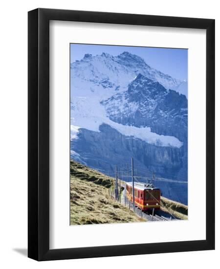 Premium Photographic Print, , large