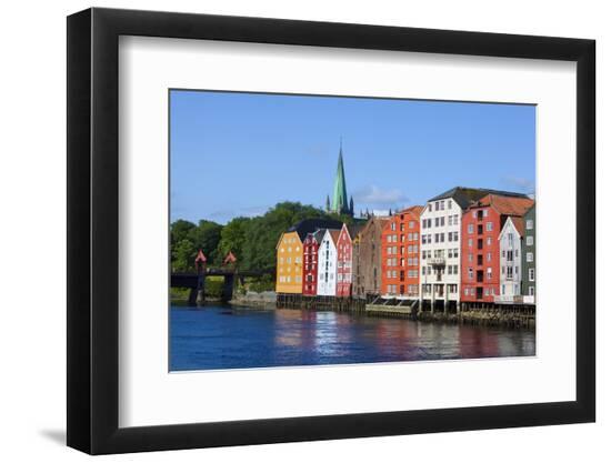 Premium Photographic Print, , large