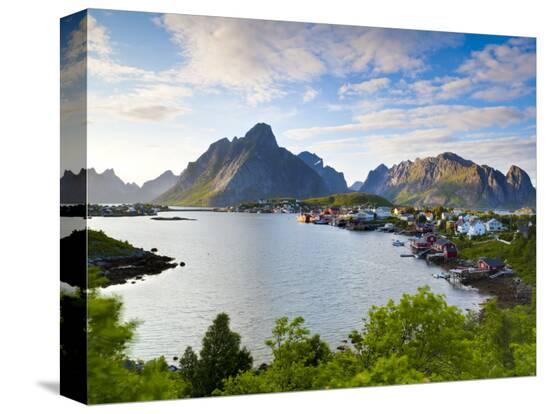 Stretched Canvas Print, , large