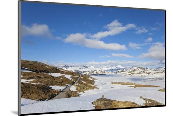 Photographic Print, , large