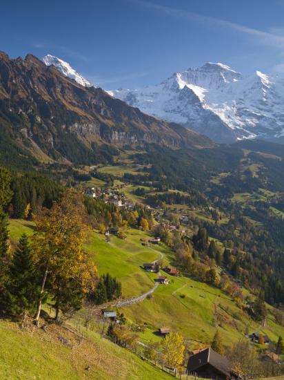 Premium Photographic Print, , large