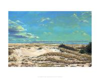 American Sands-Doug Zider-Laminated Art Print