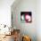 Doughnut Portal-ALI Chris-Mounted Giclee Print displayed on a wall