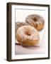 Doughnuts with Sugar Pearls and with Chocolate Icing-Alexander Feig-Framed Photographic Print