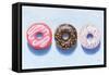 Doughnuts-Wellington Studio-Framed Stretched Canvas