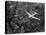 Douglas 4 Flying over Manhattan-Margaret Bourke-White-Stretched Canvas