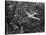 Douglas 4 Flying over Manhattan-Margaret Bourke-White-Stretched Canvas