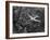 Douglas 4 Flying over Manhattan-Margaret Bourke-White-Framed Photographic Print