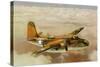 Douglas A-20 Havoc-null-Stretched Canvas