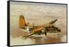 Douglas A-20 Havoc-null-Framed Stretched Canvas