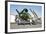 Douglas Ad-5 Skyraider Attack Aircraft-null-Framed Photographic Print