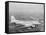 Douglas Dc-3 Plane in Flight-null-Framed Stretched Canvas