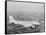 Douglas Dc-3 Plane in Flight-null-Framed Stretched Canvas