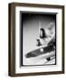 Douglas Dolphin Seaplane-Dick Whittington Studio-Framed Photographic Print