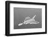 Douglas F4D Skyray Interceptor-null-Framed Art Print