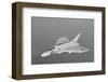 Douglas F4D Skyray Interceptor-null-Framed Art Print