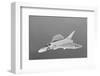 Douglas F4D Skyray Interceptor-null-Framed Art Print