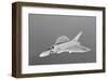 Douglas F4D Skyray Interceptor-null-Framed Art Print