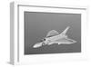 Douglas F4D Skyray Interceptor-null-Framed Art Print