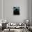 Douglas Fairbanks Jnr-null-Framed Photo displayed on a wall
