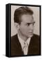 Douglas Fairbanks, Jr, American Actor and Film Star-null-Framed Stretched Canvas